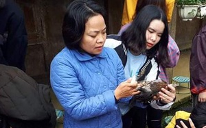Ngày Nhà giáo Việt Nam 20/11: Tâm sự nhà giáo quanh năm gắn với &quot;chuồng lợn, chuồng gà&quot;