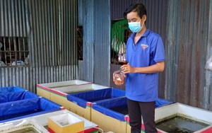 Hai anh trai làng tỉnh Tiền Giang nuôi mấy loài cá này bán đi khắp nơi-nghề tay trái mà hái ra tiền