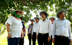 Hội Nông dân tỉnh Bình Dương phát triển đảng viên nông dân