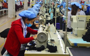 Đà Nẵng: F1 tiêm đủ vaccine được tiếp tục làm việc tại cơ sở sản xuất, kinh doanh 