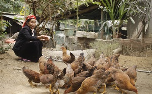Tại sao Việt Nam phải giảm đói về dinh dưỡng?