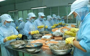 Cổ phiếu THP của Thủy sản Thuận Phước  - "hoa hậu" ngành tôm đang bị lãng quên?