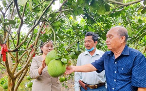 Một tỷ phú nông dân tỉnh An Giang 2 lần được tôn vinh &quot;Nông dân Việt Nam xuất sắc&quot;, vì sao vậy?