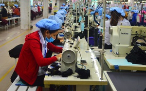 Đà Nẵng: Nhiều doanh nghiệp chấp nhận giảm doanh thu để giữ chân người lao động