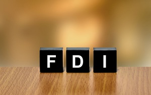 [infographic] 11 tháng năm 2021, thu hút FDI đạt 26,46 tỷ USD
