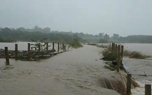 Đắk Lắk: Mưa lớn kéo dài, cá bơi đi hết, người nuôi ôm mặt khóc