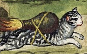 Kỳ lạ mèo từng được sử dụng làm “tên lửa” ở thời Trung Cổ