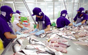 IDI Seafood báo lãi quý III vỏn vẹn gần 10 tỷ đồng, giảm 69% so với cùng kỳ