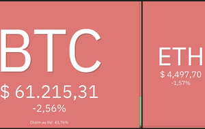 Giá Bitcoin hôm nay 5/11: Đồng loạt hạ nhiệt sau những động thái từ FED