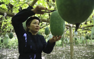 Bất ngờ: Một chương trình thu hút nhiều phụ nữ tham gia, càng vùng khó càng bán đắt hàng, là chương trình gì?