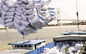 Doanh nghiệp đủ điều kiện kinh doanh xuất khẩu gạo, cập nhật đến ngày 5/11/2021