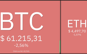 Giá Bitcoin hôm nay 6/11:  Altcoin tăng ngay cả khi giá Bitcoin và Ethereum giảm xuống mức hỗ trợ