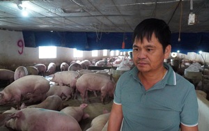 Bắc Giang: Tỷ phú nuôi lợn tuần hoàn kiểu độc lạ được bình chọn là Nông dân Việt Nam xuất sắc 2021