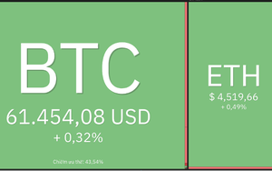 Giá Bitcoin hôm nay 7/11: Bitcoin lan rộng vào chính trường Mỹ, Altcoin tiếp tục tích cực