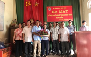 Hội Nông dân tỉnh Thái Nguyên ra mắt Tổ hội nghề nghiệp chăn nuôi ngựa 