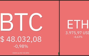 Giá Bitcoin hôm nay 11/12: Bitcoin giảm nhẹ trong bối cảnh chỉ số lạm phát tại Mỹ tăng cao