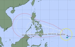 Chuyên gia dự báo nhận định: Bão số 9 liên tục có xu hướng mạnh lên, đang di chuyển hướng Tây Tây Bắc