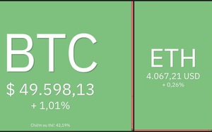 Giá Bitcoin hôm nay 13/12: Bitcoin trở lại 50.000 USD, thị trường biến động nhẹ