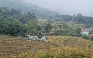 Món ăn đặc sản ở Pù Luông: Vừa tươi, ngọt, ngon và giá rẻ đến bất ngờ - Ảnh 13.