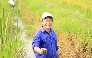 Trồng lúa trên đất bom đạn Quảng Trị, nông dân không xịt thuốc, mang vào Sài Gòn bán không kịp