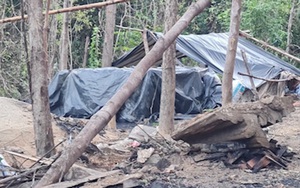 Đắk Lắk: 3 lò than xuất hiện trên đất rừng do Công ty TNHH MTV Lâm nghiệp Chư Phả quản lý