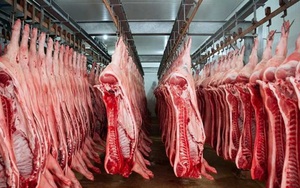 Trong khi Trung Quốc tăng thuế, Việt Nam lại sắp giảm mạnh thuế nhập khẩu thịt lợn từ Mỹ 