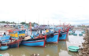 Ninh Thuận: Cấm tàu thuyền ra khơi để phòng chống bão RAI