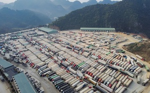 Hơn 4.800 xe hàng xuất đi Trung Quốc &quot;tắc&quot; ở các cửa khẩu tỉnh Lạng Sơn