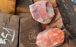 Khởi tố vụ án buôn lậu gỗ, đá ở Quảng Trị