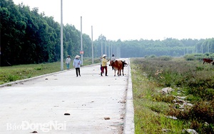 Đồng Nai ngăn chặn phân lô bán nền đất nông nghiệp