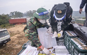 Tình trạng ùn ứ nông sản nghiêm trọng tại cửa khẩu: Thị trường Trung Quốc cần gì?