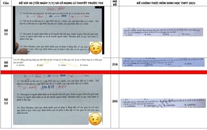 Bất thường đề thi môn Sinh tốt nghiệp THPT 2021: Tổ chuyên gia xác minh đề nói gì?