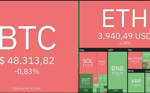 Giá Bitcoin hôm nay 23/12: Bitcoin không vượt được ngưỡng 50.000 USD, Altcoin lớn tiếp tục bứt phá