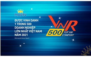 Mavin tiếp tục được vinh danh trong TOP 500 doanh nghiệp lớn nhất VN