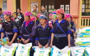 Yên Bái: Nông dân phấn khởi được De Heus tặng 10 tấn thức ăn chăn nuôi phòng chống đói rét cho trâu bò