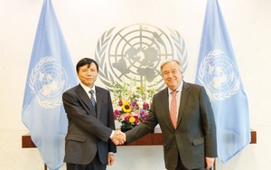 Tổng thư ký Liên Hợp Quốc ra thông điệp Ngày Quốc tế về Phòng chống dịch bệnh