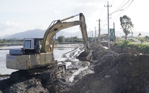 Khắc phục hậu quả lũ lụt, nông dân Bình Định hối hả vào vụ đông xuân
