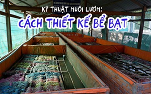 Kỹ thuật nuôi lươn: Cách thiết kế bể bạt 