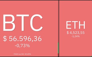 Giá Bitcoin hôm nay 3/12: Bitcoin dao động quanh mức 57.000 USD, thị trường giằng co