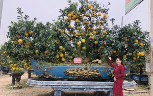 Siêu phẩm thuyền bưởi tam đa phúc lộc thọ giá trăm triệu "trình làng" cây cảnh chưng Tết 2022