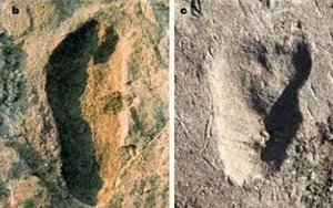 4 phát hiện khảo cổ học lớn nhất 2021, một có thể "thay đổi lịch sử"