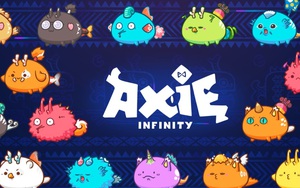 Shiba Inu, Axie Infinity và những đồng coin ấn tượng của năm 2021