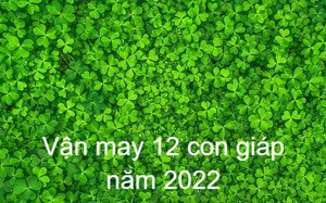 Dự đoán vận may của 12 con giáp trong năm mới 2022