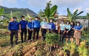 Đà Nẵng: Đoàn thanh niên Agribank khu vực miền Trung tiếp sức cho vườn cây khởi nghiệp