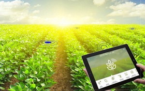 TT-Huế: Nhiều doanh nghiệp tiên phong ứng dụng công nghệ số phát triển nông nghiệp thông minh
