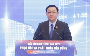 Diễn đàn kinh tế Việt Nam 2021: Chủ tịch QH Vương Đình Huệ nói về 2 chữ "P" phục hồi và phát triển