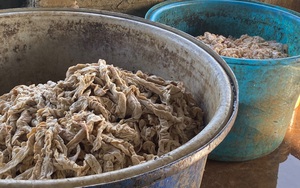 Kinh hoàng 7,5 tấn lòng lợn nhiễm dịch tả lợn châu Phi đưa vào chế biến cho dân ăn