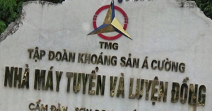 Tập đoàn Khoáng sản Á Cường (ACM) bị phạt 70 triệu đồng