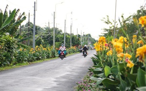 Vĩnh Long: Con đường hoa nở khiến nhiều người "phát sốt" đang trồng những loài hoa gì?