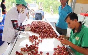 Huyện Lục Ngạn: Đổi thay nhờ xây dựng nông thôn mới